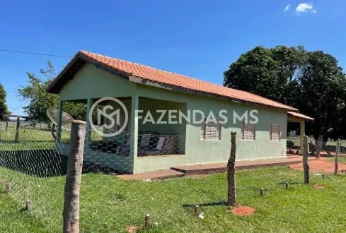 fazenda 3 (2)