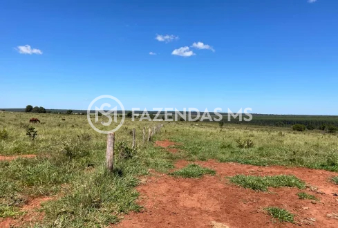 fazenda 3 (4)