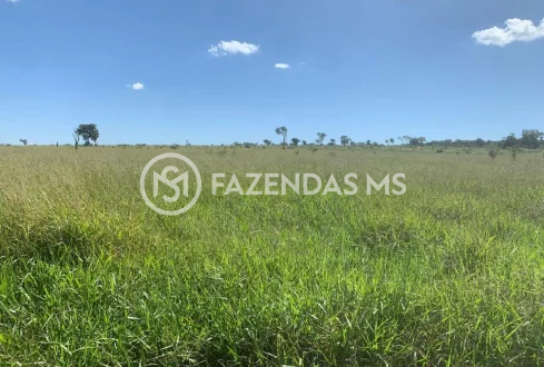 fazenda 3 (5)