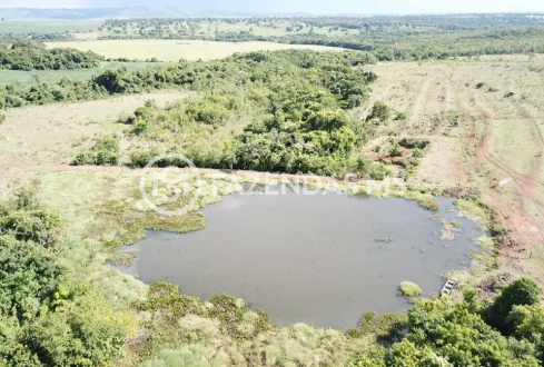 fazenda 4 (1)