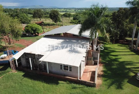 fazenda 4 (2)