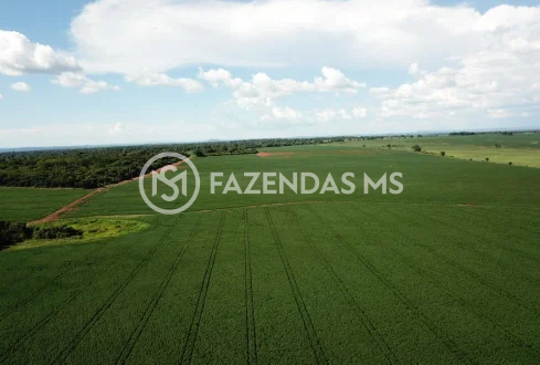 fazenda 4 (3)