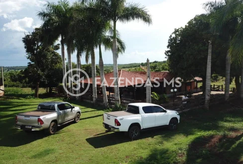 fazenda 4 (4)