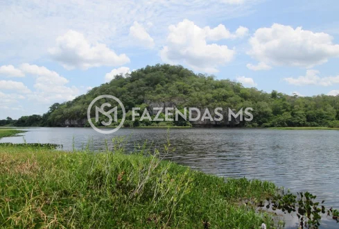 fazenda 5 (3)