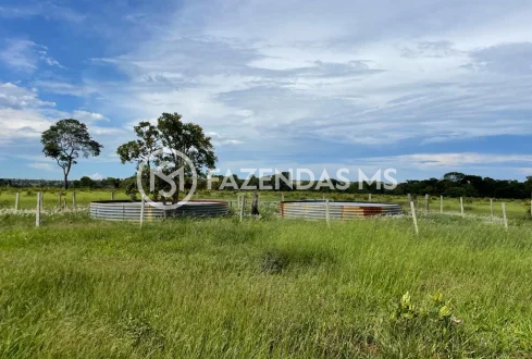 fazenda 5 (4)