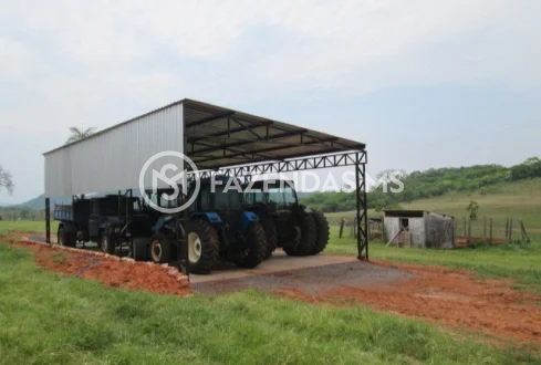 fazenda 5 (5)