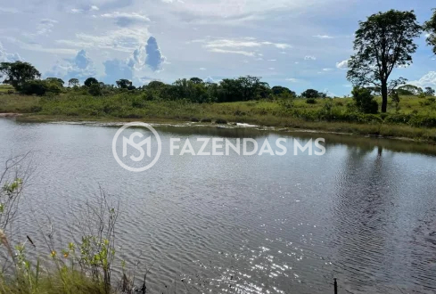 fazenda 5 (5)