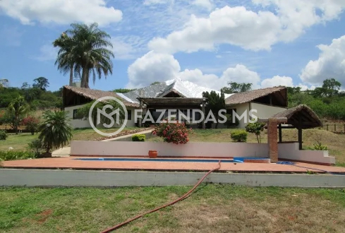 fazenda 5 (6)