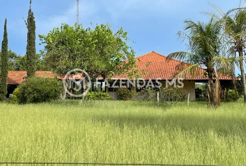 fazenda 5 (6)