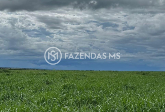 paraiso (1)