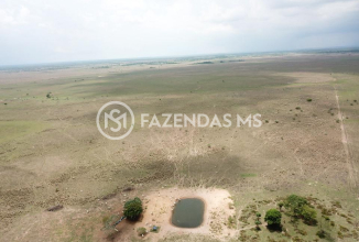 fazenda4562 (1)