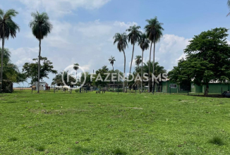 fazenda4562 (2)
