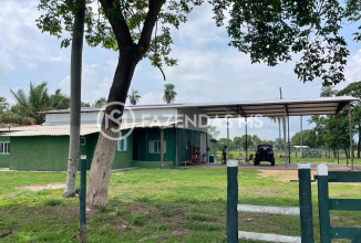 fazenda4562 (3)