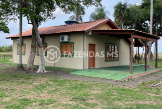 fazenda4562 (4)