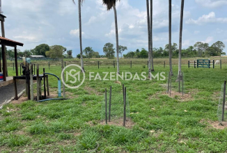 fazenda4562 (5)