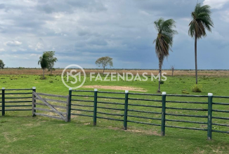 fazenda4562 (6)