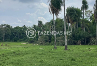 fazenda4562 (7)