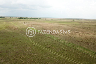 fazenda4562 (8)